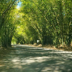 Meet your Posher, Ludlow